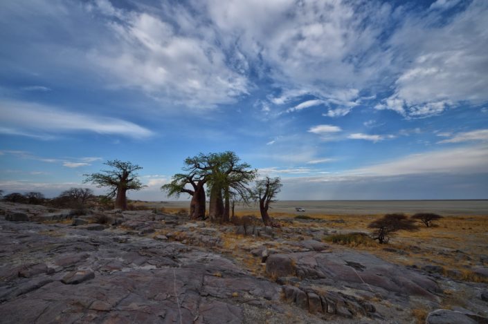 Makgadikgadi Salzpfannen Kubu Island