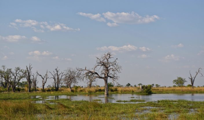Moremi Okavango Botswana Paradise Pools