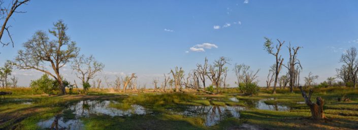 Moremi Okavango Botswana Paradise Pools