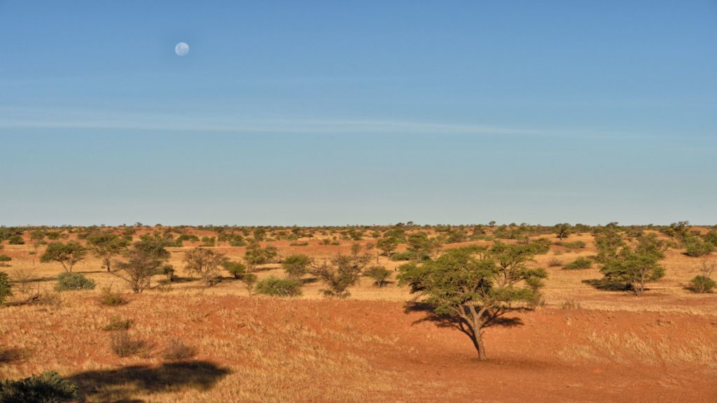 Mond über der Kalahari