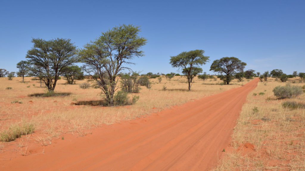 Gharagab Wilderness Camp im KTP Kgalagadi Transfrontier Park