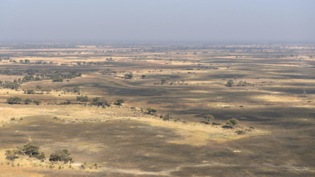 Okavango Delta ohne Wasser