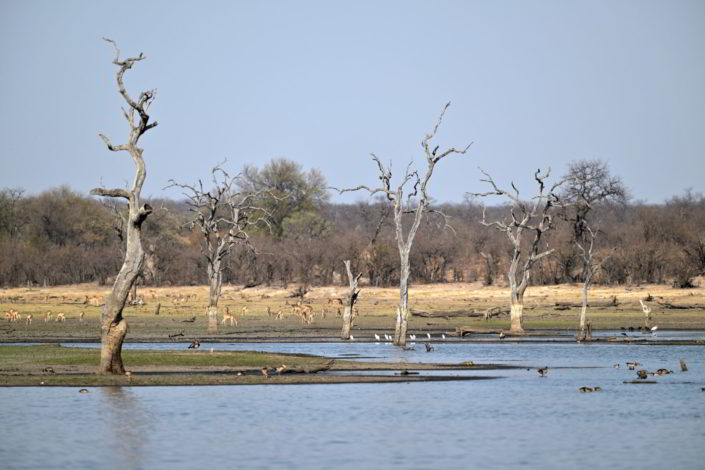 Rooibosrand Dam