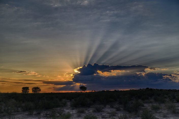 Sunrise Nossob Valley