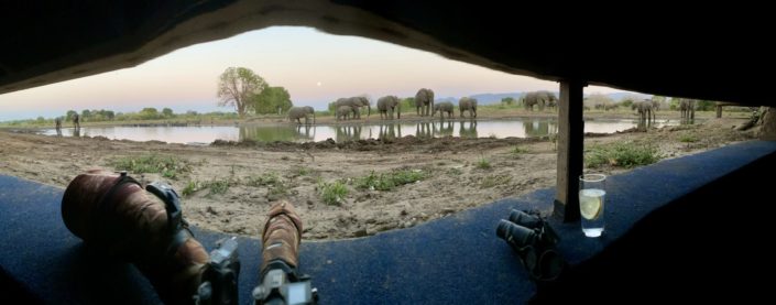 Kavinga Mana Pools Hide