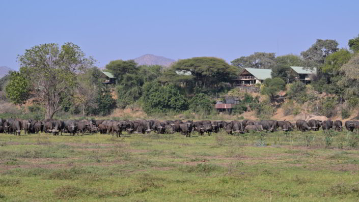 Kavinga Camp, Mana Pools
