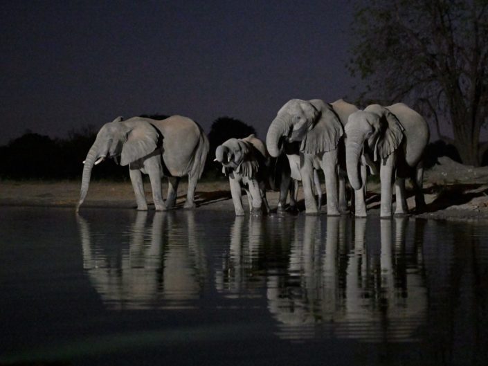 Kavinga Mana Pools