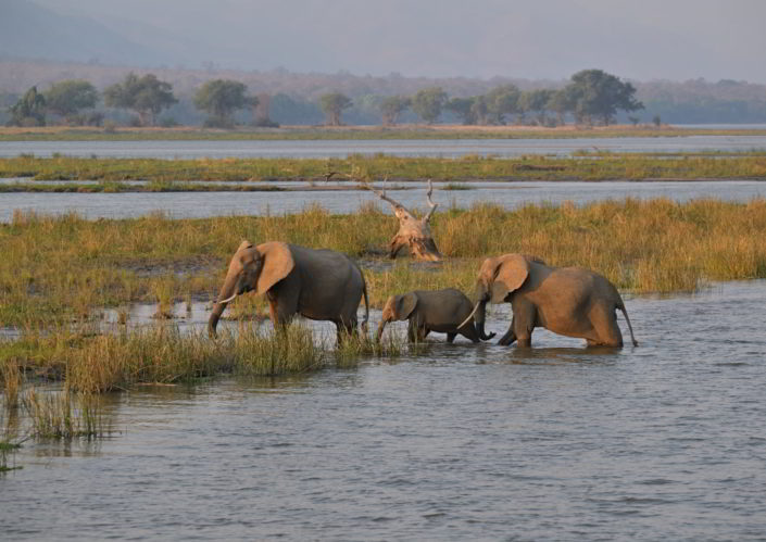 Vundu Camp, Mana Pool, Simbabwe
