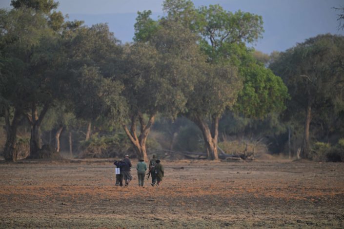 5 Menschen zu Fuss unterwegs im Mana Pools NP
